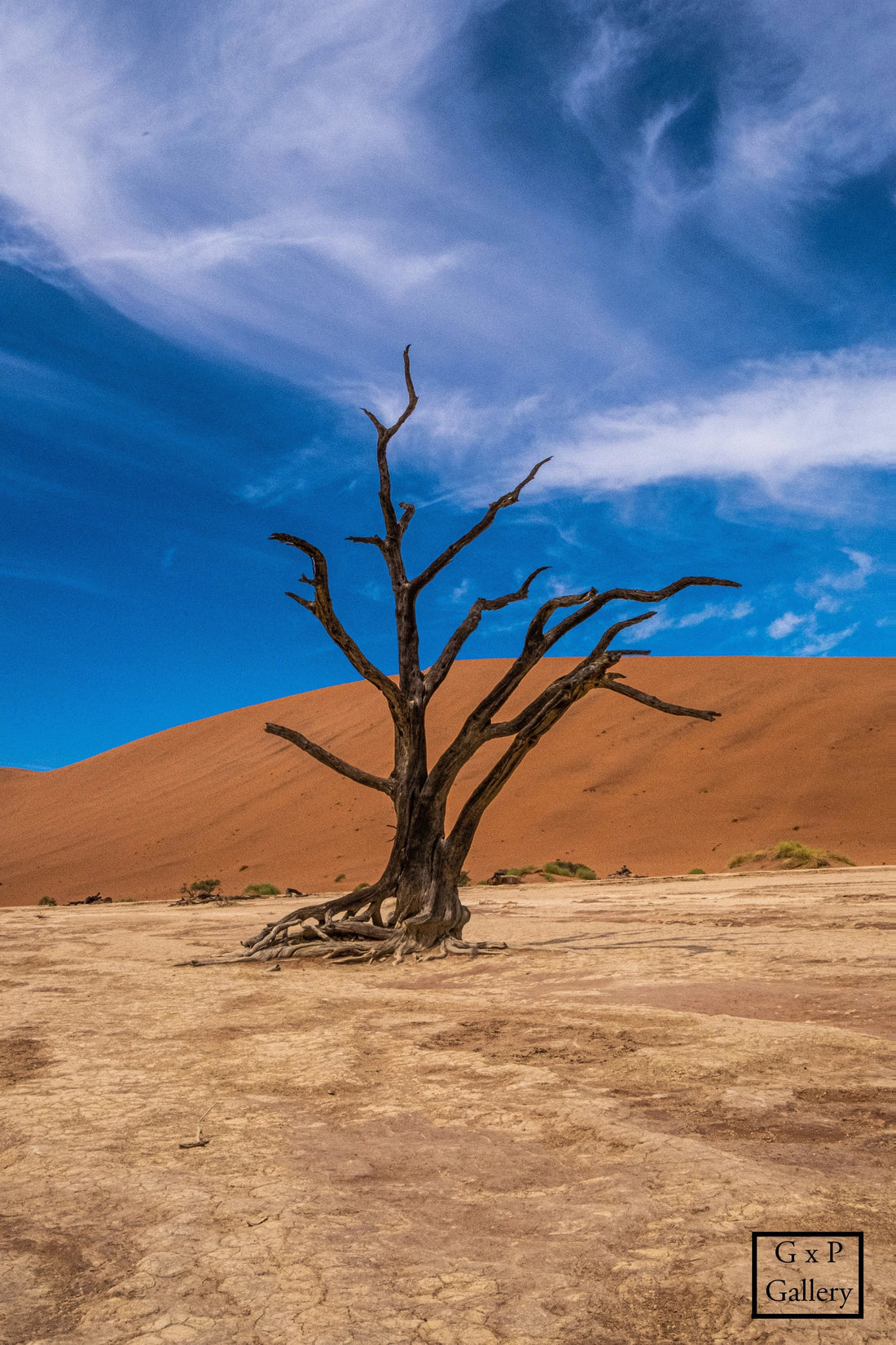 Exploring the Majestic Dunes and the Remarkable Beauty of Sossusvlei