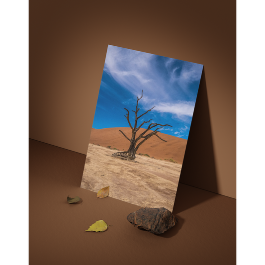 Deadvlei - Fine Art Print - GxP Gallery