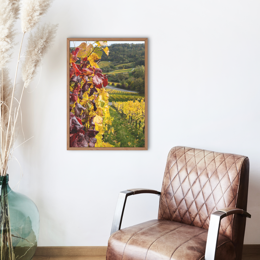 Vineyards - Fine Art Print - GxP Gallery