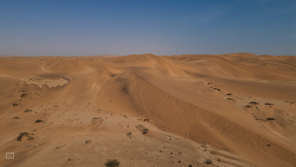 Namib Desert